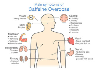 Main symptoms of Caffeine Overdose. Illustration about health check up diagram.