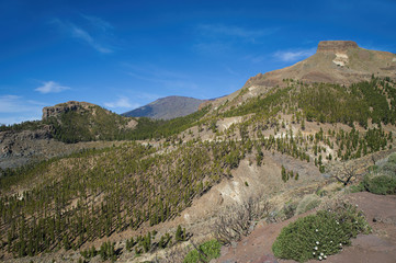Fototapeta na wymiar Familiar volcanic landscape of Teide National Park, Tenerife, Canary Islands, Spain
