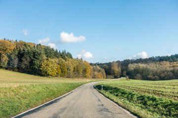Fototapeta na wymiar Landstrasse durch Herbstwald