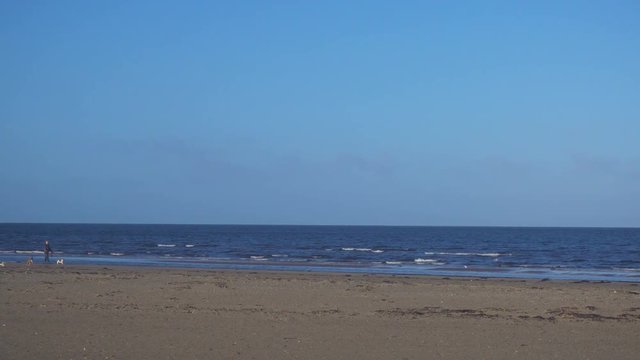 Woman Walking on the Shore with dogs in Ayr, Scotland