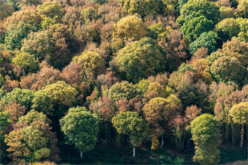 Naklejka premium Vue aérienne de forêt en automne en Eure-et-Loir en france près d'Anet