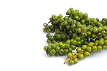 Green peppercorns on white background.