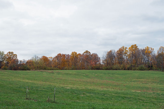 Rural landscape photo of a green, grassy meadow lined with trees bearing bright Autumn colors