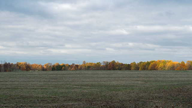 Rural landscape photo of a field lined with trees bearing Autumn colors