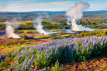 Fototapeta premium Erupting of the Great Geysir lies in Haukadalur valley on the slopes of Laugarfjall hill.