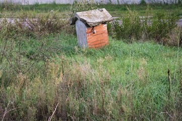 Isolated Bird house in the nature (Pesaro, Italy)