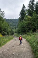 Way in Bieszczady Mountains. Poland © Jarek