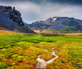 Fototapeta premium Typical Icelandic landscape with majestic canyon and pure water spring