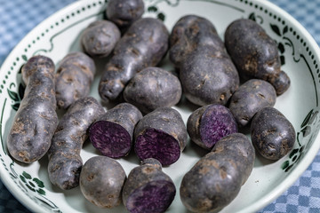 Trüffelkartoffel, Vitelotte, Blauviolette Kartoffeln in einer nostalgischen Schale