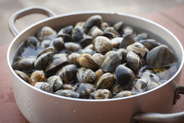 Seafood 