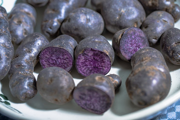 Trüffelkartoffel, Vitelotte, Blauviolette Kartoffeln in einer nostalgischen Schale