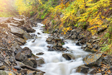 Autumn forest with streaming river
