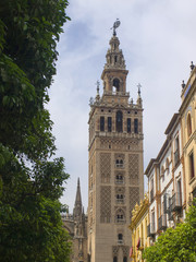 Obraz premium Catedral y Giralda / Cathedral and Giralda. Sevilla