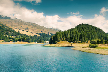Beautiful summer view of Sils lake.