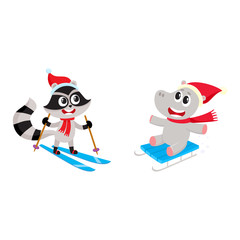 Skiing raccoon and sledding hippo, two funny animal characters having fun in winter, cartoon vector illustration isolated on white background. Little raccoon and hippo characters skiing and sledding