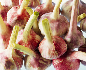 Heap of fresh garlic