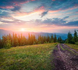 Colorful summer sunrise in the Carpathian mountains with old country road