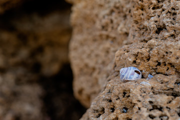 Stones texture and background.