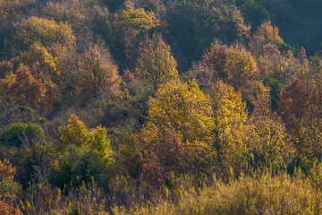 Autumn hills