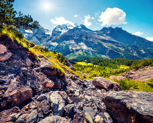 Colorful summer morning near Oeschinensee Lake