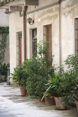 The courtyard and the facade of the apartment house near which stand large pots with ornamental plants