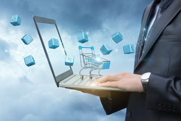 Shopping cart on laptop businessman with and fly interest.