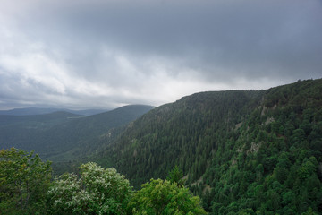 Fototapeta premium France - Aerial view on wooded canyon next to route de cretes in autumn