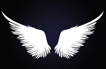Naklejka na ściany i meble White Wings. Vector illustration on dark background. Black and white style 