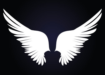 Plakat White Wings. Vector illustration on dark background. Black and white style 