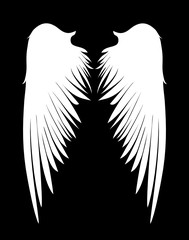 White Wings. Vector illustration on dark background. Black and white style 