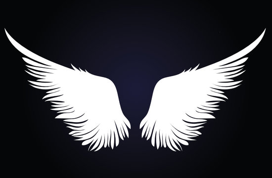 White Wings. Vector illustration on dark background. Black and white style 
