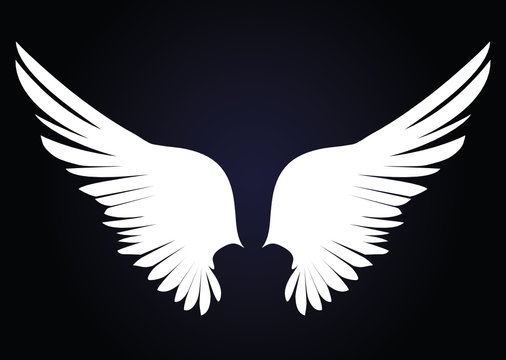 White Wings. Vector illustration on dark background. Black and white style 