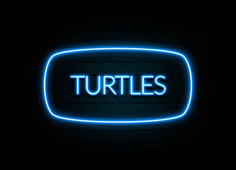 Turtles  - colorful Neon Sign on brickwall