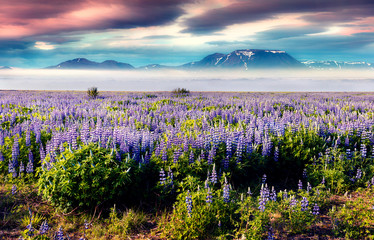 Typical Icelandic landscape with foggy mountains on the horizon
