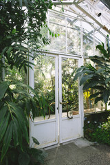 botanical garden
