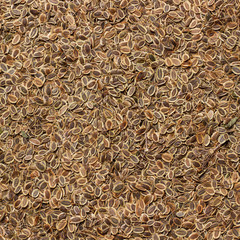 the texture of dill seeds