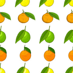 Citrus seamless background. Lemons, tangerines, limes, oranges