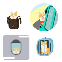 Vector illustration of dog in a bag, in pet cage, carriage of dogs on aircraft and car.