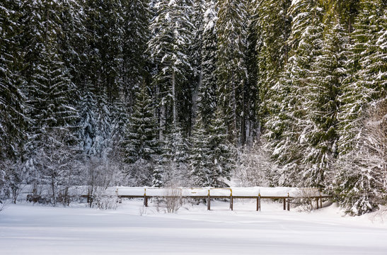 wooden bridge in snowy spruce forest. lovely winter scenery
