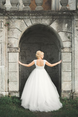 Beautiful elegant bride with perfect wedding dress and bouquet posing near old castle