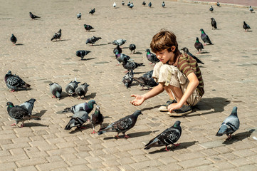 The boy feeds the pigeons in the square