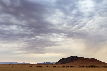Fototapeta na wymiar Clouded sky over the Namib