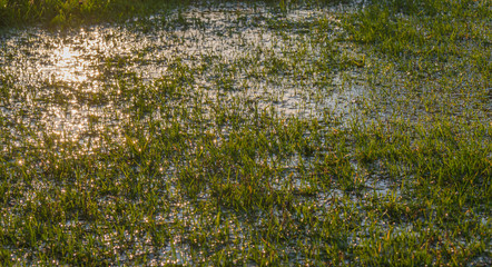 Obraz na płótnie Canvas A waterlogged green grass pitch field with the sun shining onto it. The game will be called off.