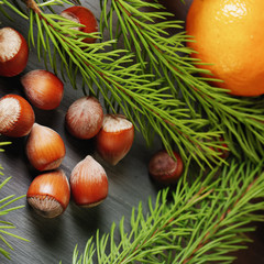 cedar cone with nuts and young spruce, background №3