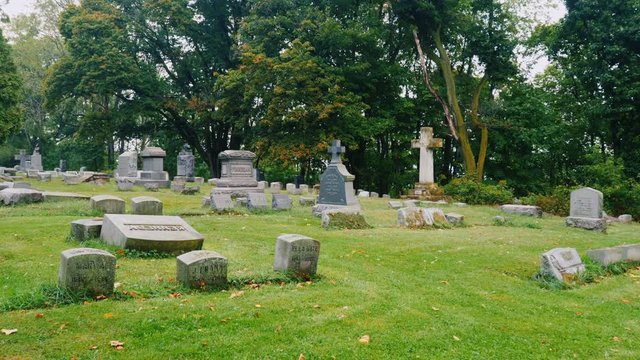 Steadicam shot: Ancient cemetery, large gravestones on green grass