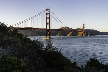 Obraz premium Bush of tree in front of Golden Gate Bridge