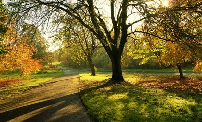 Fototapeta premium A Colourful Autumn Landscape.
