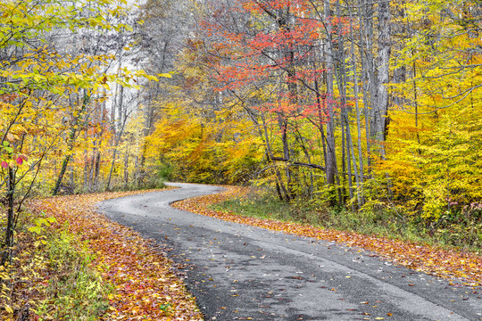 Autumn Winding Roadway - Indiana's Lieber State Recreation Area