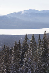 Ural forest. Lake Zyuratku, winter landscape.