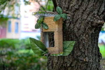 birdhouse hanging in the yard on the branch